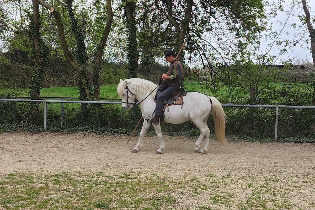 French Cowboy